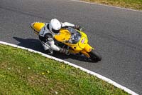 Advanced Group Yellow Bikes	